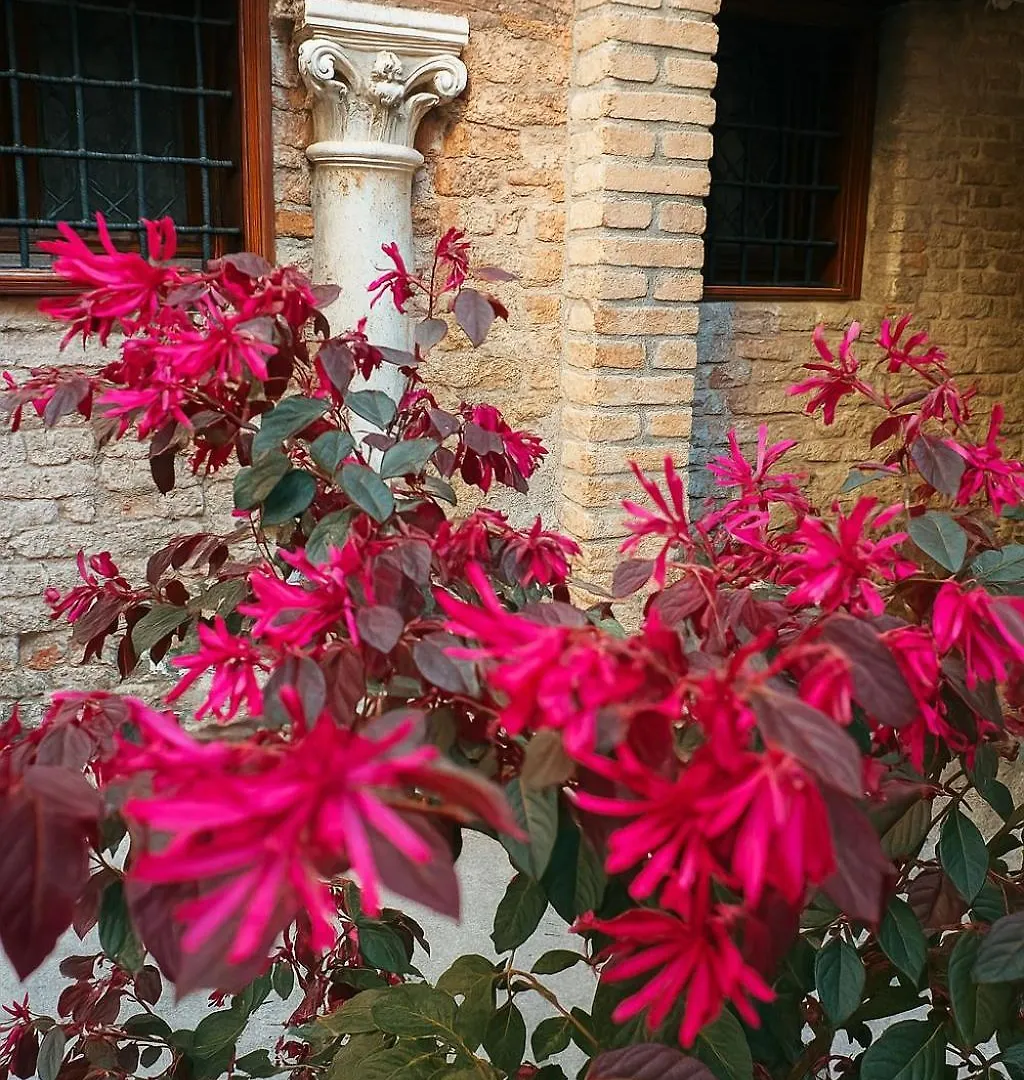 My Rialto Palace Venice Guest house